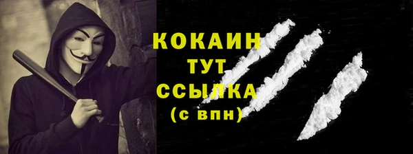 дмт Горнозаводск
