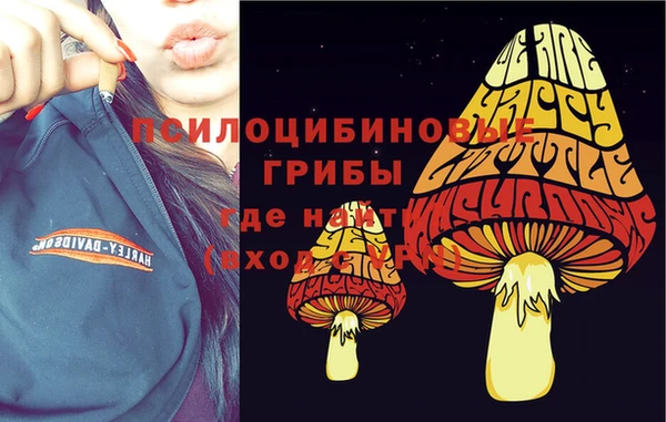 прущая мука Горно-Алтайск