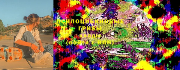 дмт Горнозаводск